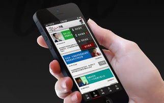 明星天價(jià)出場費(fèi)與軟件開發(fā)的跨界思考